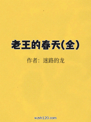 老王的春天(全)