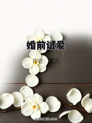 婚前试爱