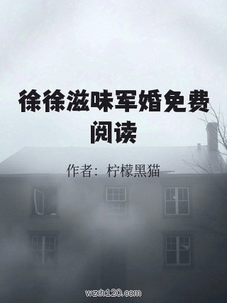 徐徐滋味军婚免费阅读