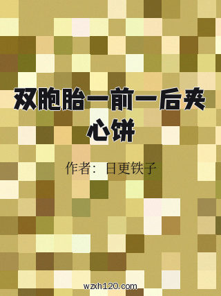 双胞胎一前一后夹心饼