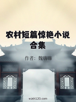 农村短篇惊艳小说合集