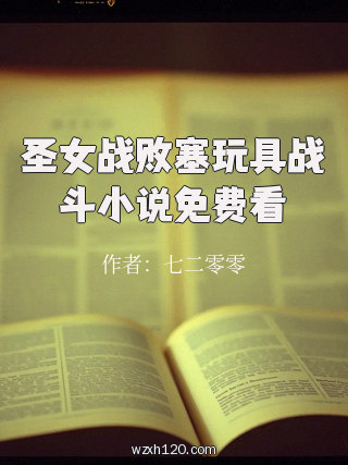 圣女战败塞玩具战斗小说免费看
