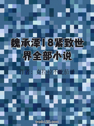 魏承泽18紧致世界全部小说