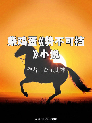 柴鸡蛋《势不可挡》小说