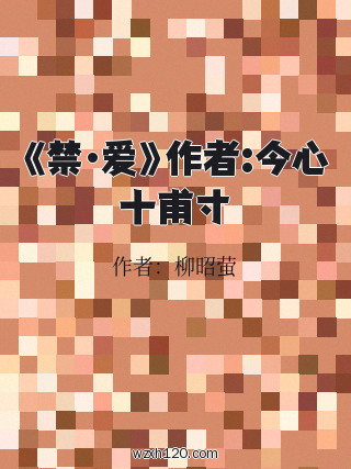 《禁·爱》作者:今心十甫寸