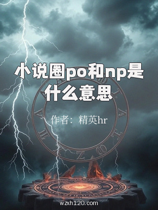 小说圈po和np是什么意思