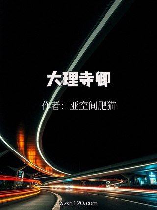 大理寺卿