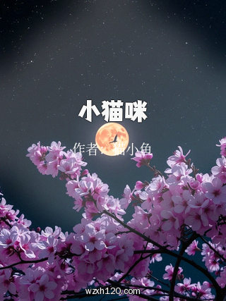 小猫咪