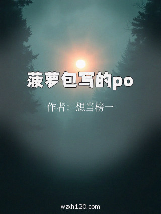菠萝包写的po