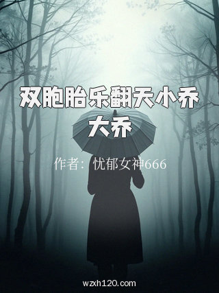 双胞胎乐翻天小乔大乔