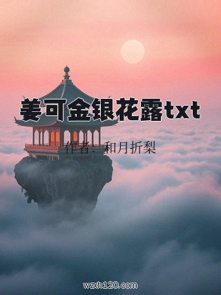 姜可金银花露txt
