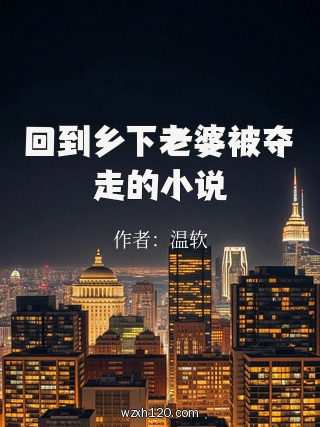 回到乡下老婆被夺走的小说