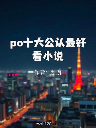 po十大公认最好看小说
