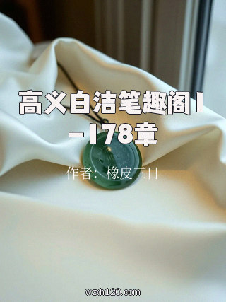 高义白洁笔趣阁1-178章