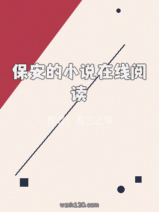 保安的小说在线阅读