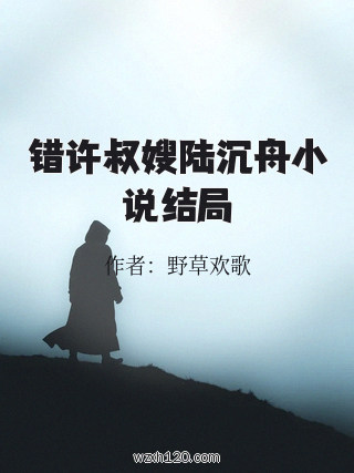 错许叔嫂陆沉舟小说结局