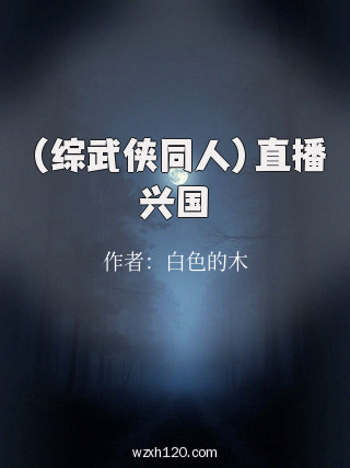(综武侠同人)直播兴国