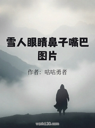 雪人眼睛鼻子嘴巴图片