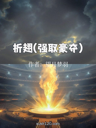 折翅(强取豪夺)