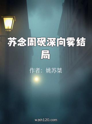 苏念周砚深向雾结局