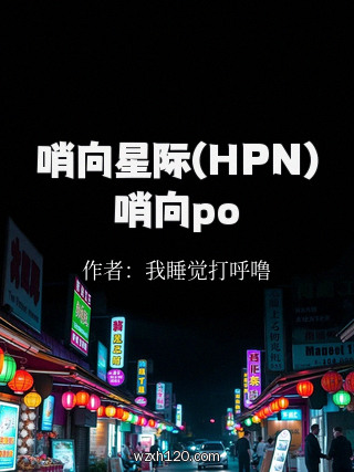 哨向星际(HPN)哨向po