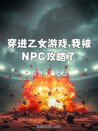 穿进乙女游戏,我被NPC攻略了