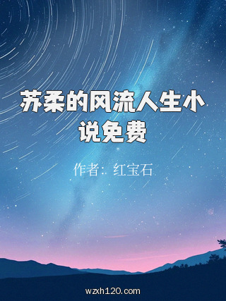苏柔的风流人生小说免费