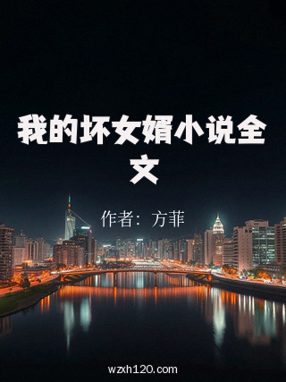 我的坏女婿小说全文