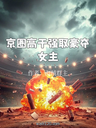 京圈高干强取豪夺女主