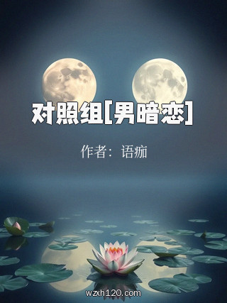 对照组[男暗恋]
