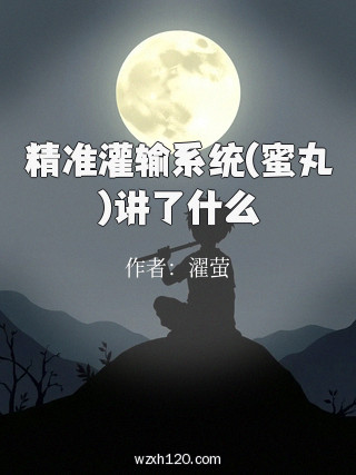 精准灌输系统(蜜丸)讲了什么
