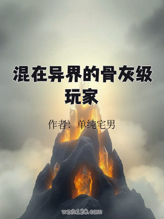 混在异界的骨灰级玩家