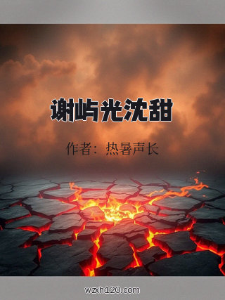 谢屿光沈甜