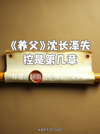 《养父》沈长泽失控是第几章