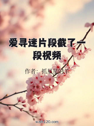 爱寻迷片段截了一段视频