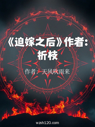 《迫嫁之后》作者:折枝