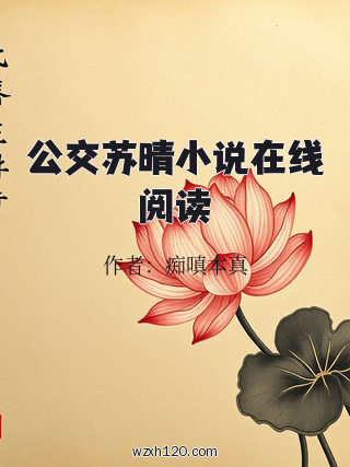 公交苏晴小说在线阅读
