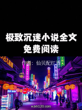 极致沉迷小说全文免费阅读