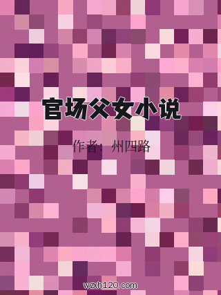 官场父女小说