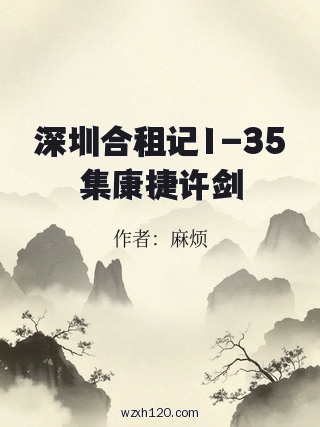 深圳合租记1-35集康捷许剑