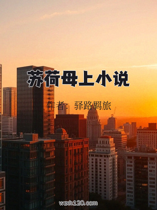 苏荷母上小说