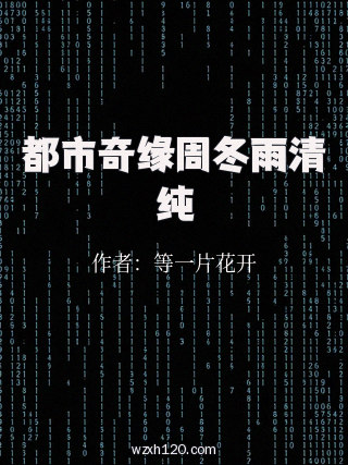 都市奇缘周冬雨清纯