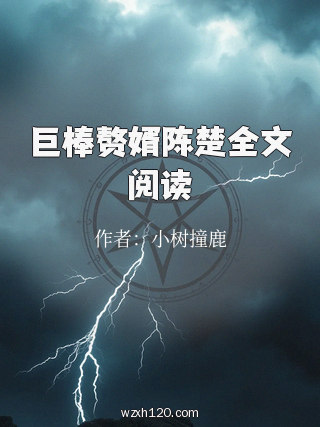 巨棒赘婿陈楚全文阅读