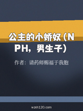 公主的小娇奴(NPH,男生子)