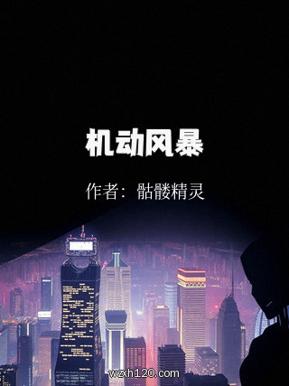 机动风暴