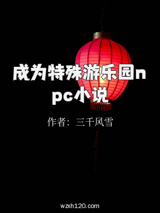 成为特殊游乐园npc小说