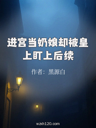 进宫当奶娘却被皇上盯上后续