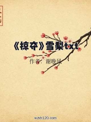 《掠夺》雪梨txt