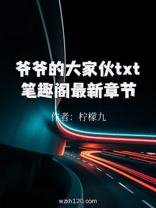 爷爷的大家伙txt笔趣阁最新章节