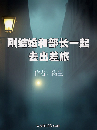 刚结婚和部长一起去出差旅